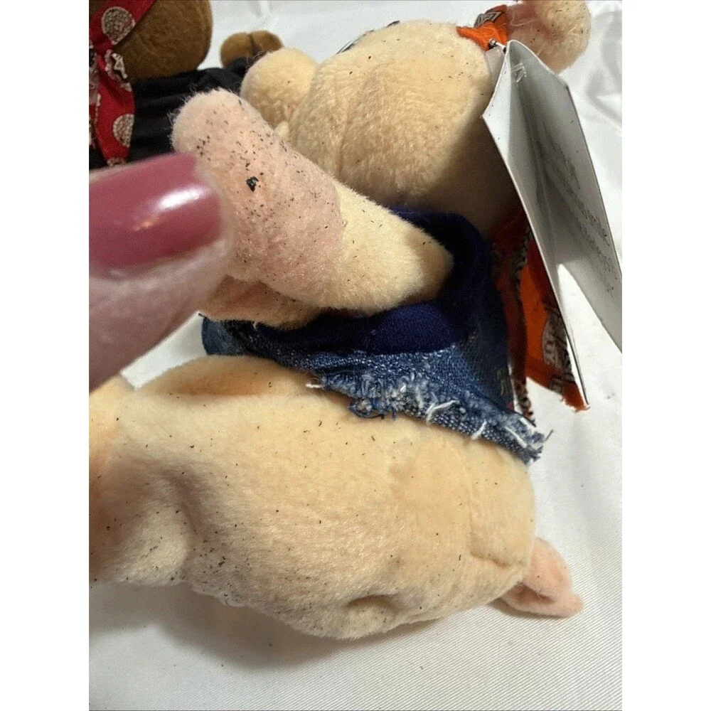 N/A bear punky